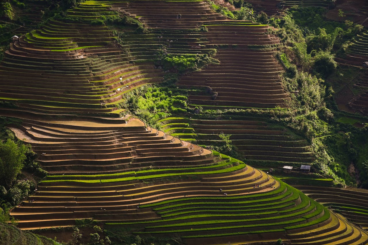 Vietnam Landscape - Site Map