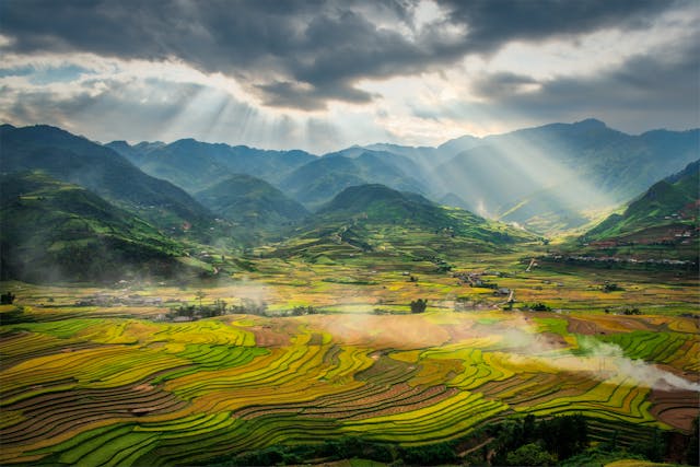 Famous Vietnam - Rice Terraces